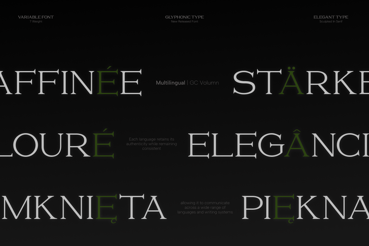 gc-volumn-elegant-serif-typeface-glyphonic-6.png