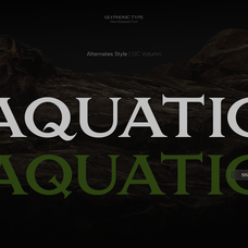 gc-volumn-elegant-serif-typeface-glyphonic-7.png