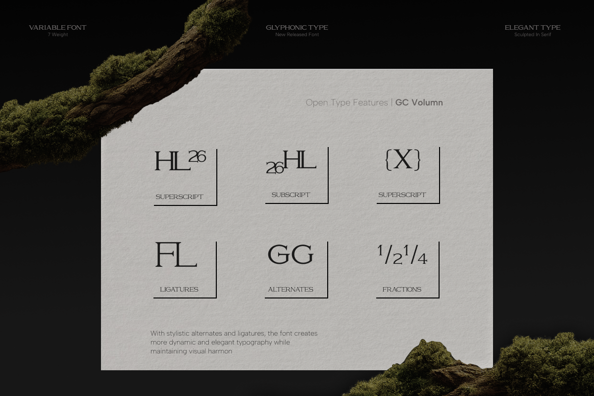 gc-volumn-elegant-serif-typeface-glyphonic-8.png
