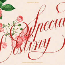 gefuhatpin-elegant-calligraphy-font-enxyclo-studio-10.png