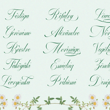 gefuhatpin-elegant-calligraphy-font-enxyclo-studio-13.png
