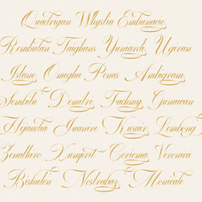gefuhatpin-elegant-calligraphy-font-enxyclo-studio-15.png