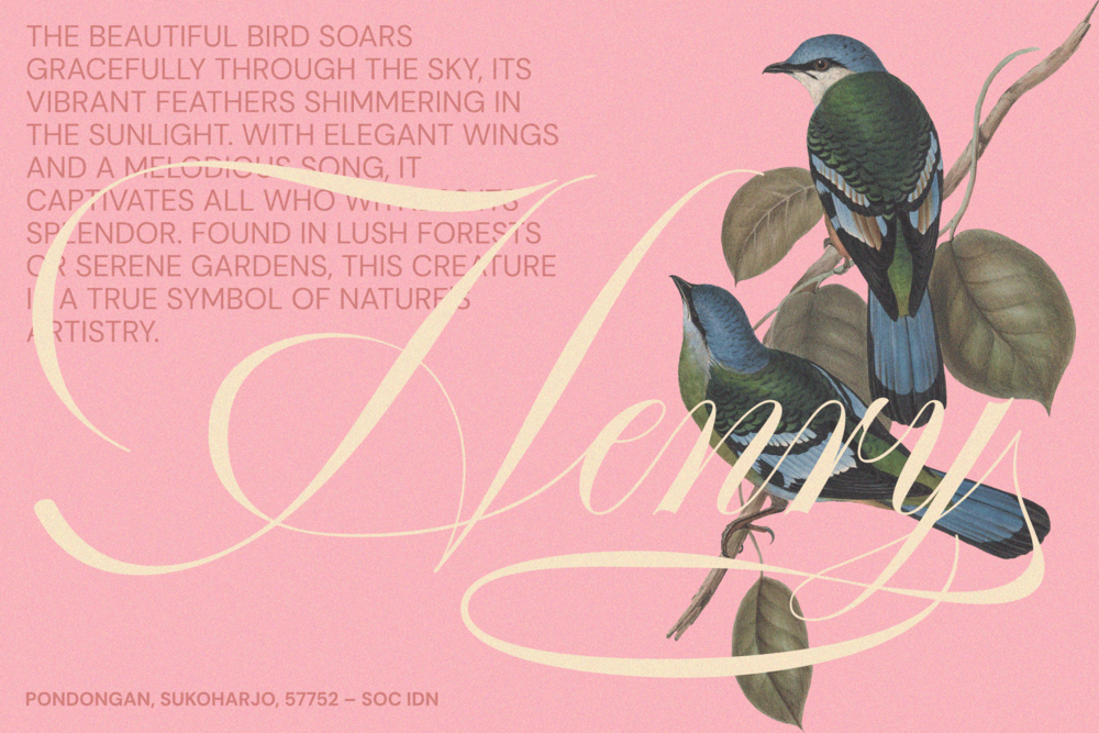 gefuhatpin-elegant-calligraphy-font-enxyclo-studio-9.png