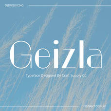 geizla-modern-sans-serif-craft-supply-co-1.jpg