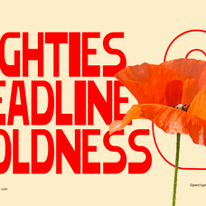 gelico-condensed-bold-display-font-roomspace-creative-lab-3.png
