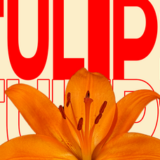 gelico-condensed-bold-display-font-roomspace-creative-lab-9.png