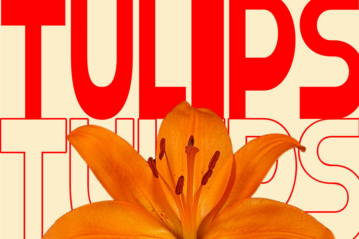 gelico-condensed-bold-display-font-roomspace-creative-lab-9.png