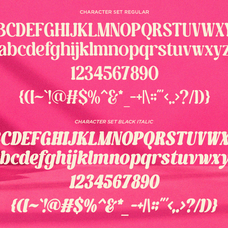 gently-retro-family-retro-serif-font-say-studio-10.png