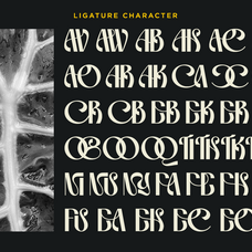 genya-experimental-decorative-font-say-studio-10.png