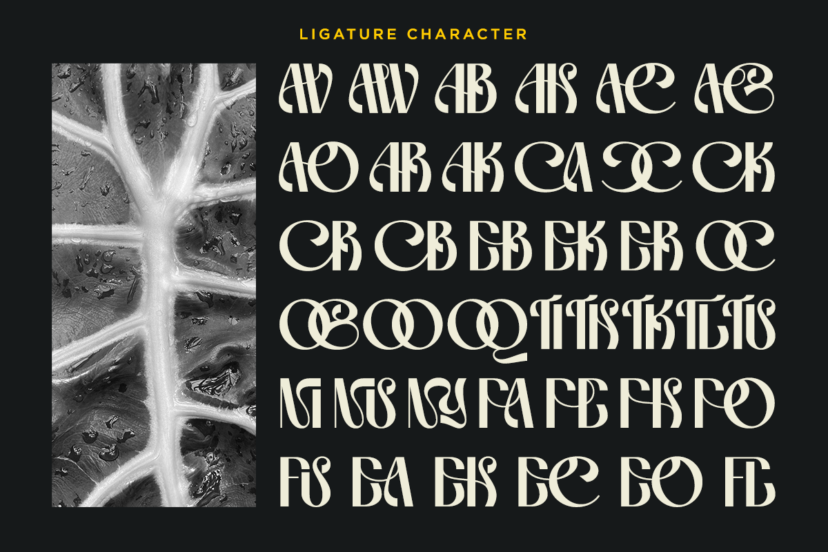 genya-experimental-decorative-font-say-studio-10.png