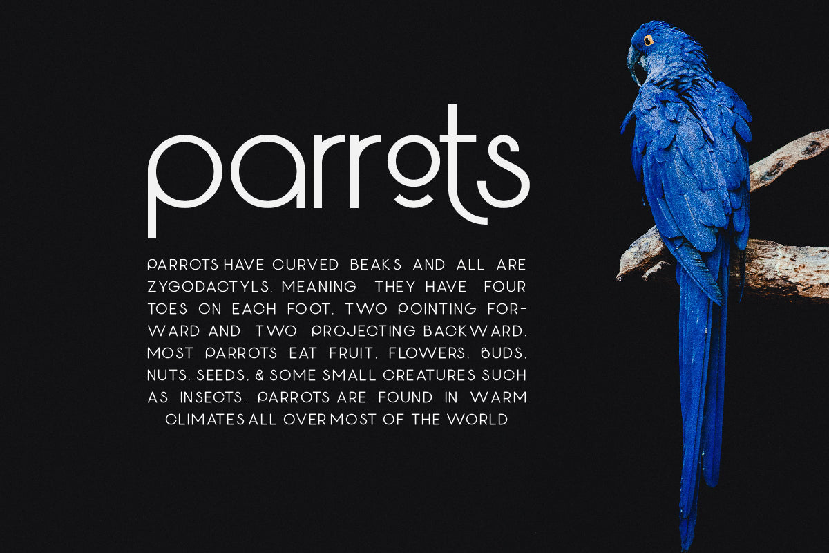 Geotype - Geometric Variable Sans Serif Font by Say Studio, preview 6