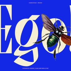 Gerdishon - Modern Serif Font