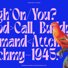 Gerdishon - Modern Serif Font