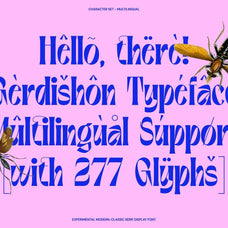 Gerdishon - Modern Serif Font