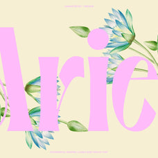 Gerdishon - Modern Serif Font