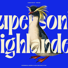 Gerdishon - Modern Serif Font