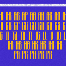 gervind-bold-condensed-display-say-studio-14.png