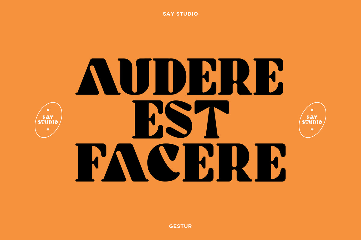 gestur-bold-classic-serif-font-say-studio-7.jpg