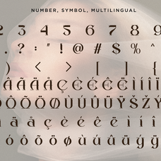 gifther-elegant-ligature-serif-font-say-studio-11.png