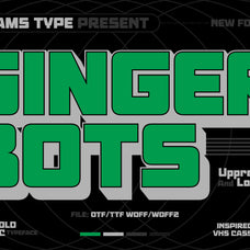 ginger-bots-80s-vhs-typeface-roams-type-co-2.jpg