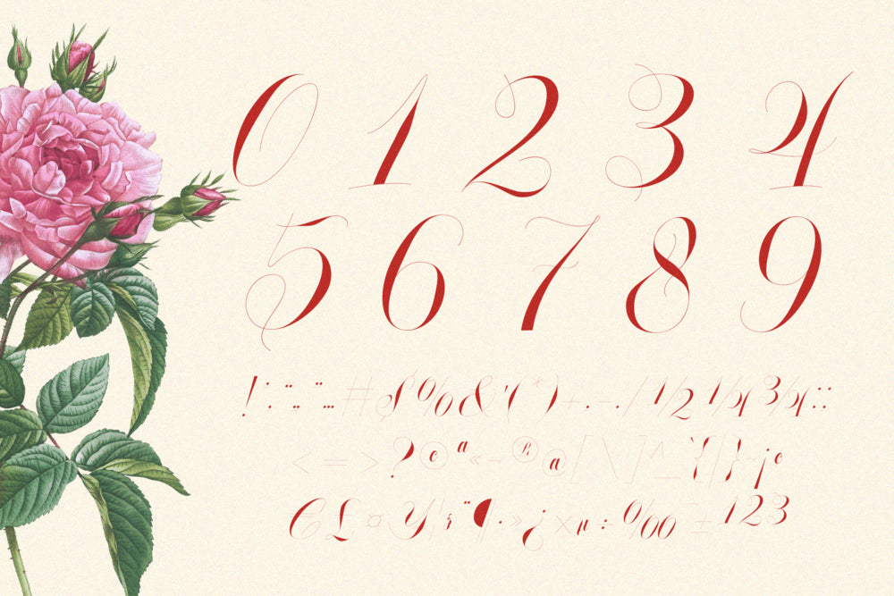 glowing-romance-calligraphy-luxury-font-enxyclo-studio-13.png