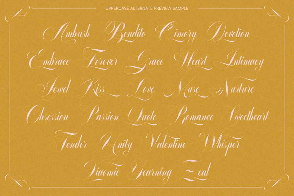 glowing-romance-calligraphy-luxury-font-enxyclo-studio-17.png