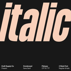 godger-condensed-sans-serif-craft-supply-co-3.jpg