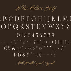 golden-allure-elegant-font-duo-unknown-creator-11.jpg