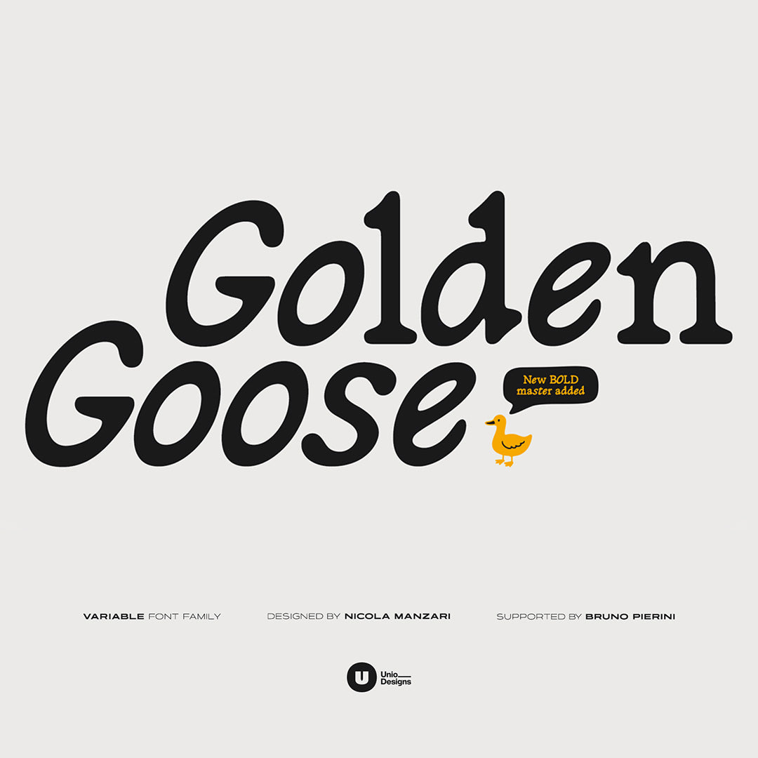 golden-goose-italic-infused-contemporary-serif-font-unio-designs-10.jpg