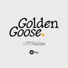 golden-goose-italic-infused-contemporary-serif-font-unknown-creator-1.jpg