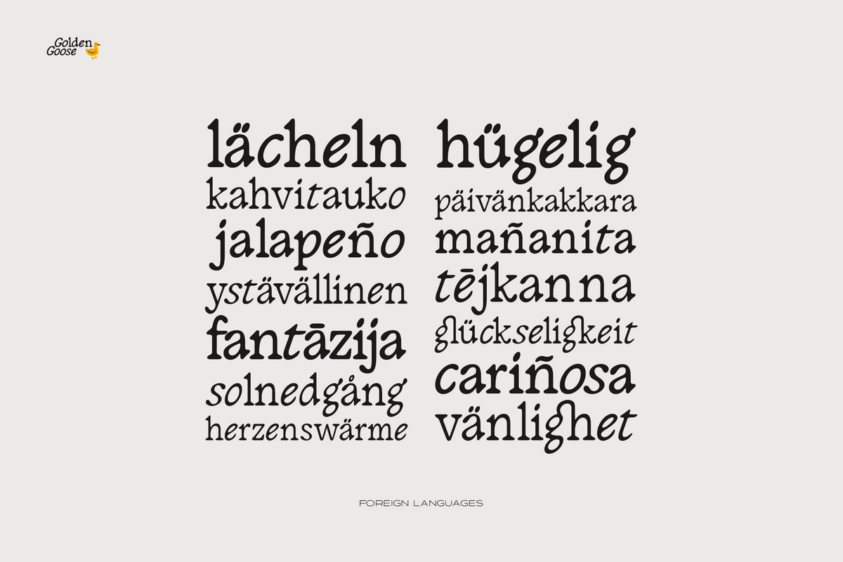 golden-goose-italic-infused-contemporary-serif-font-unknown-creator-4.png