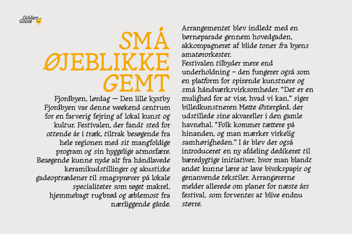 golden-goose-italic-infused-contemporary-serif-font-unknown-creator-5.png