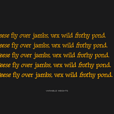 golden-goose-italic-infused-contemporary-serif-font-unknown-creator-6.png