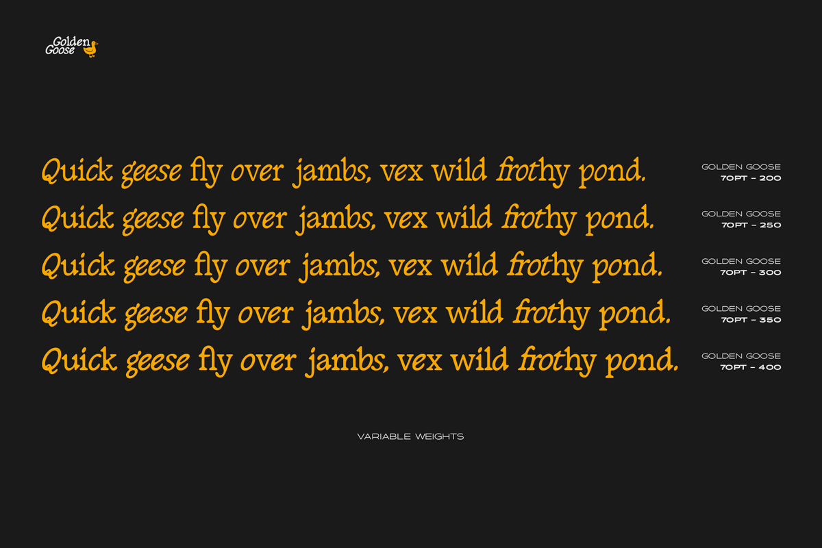 golden-goose-italic-infused-contemporary-serif-font-unknown-creator-6.png