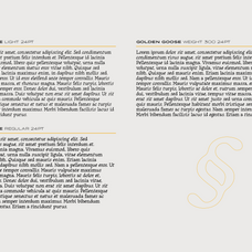golden-goose-italic-infused-contemporary-serif-font-unknown-creator-7.png