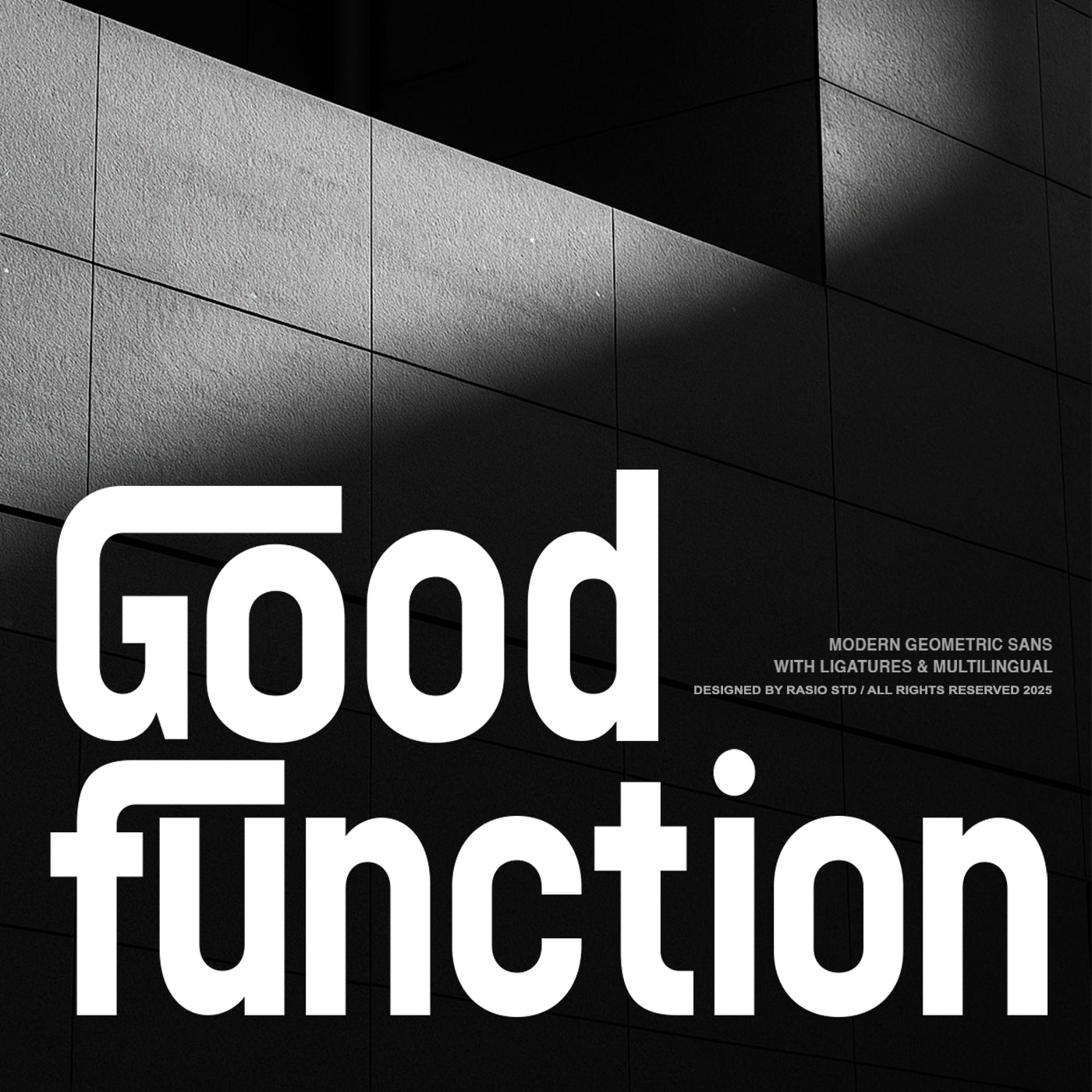good-function-modern-geometric-sans-font-rasio-std-1.jpg