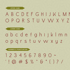 gorcha-creative-display-font-vadova-studio-2.png