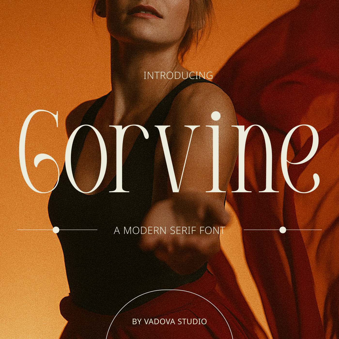 gorvine-modern-serif-font-vadova-studio-1.jpg