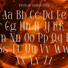 gorvine-modern-serif-font-vadova-studio-2.jpg
