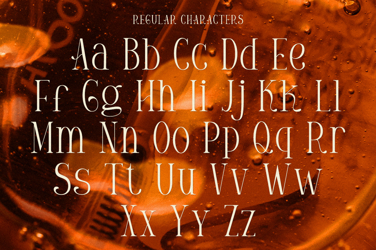 gorvine-modern-serif-font-vadova-studio-2.jpg