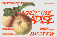 GOWAK — Raw Expressive Modern Font