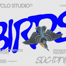 gowak-raw-expressive-modern-font-enxyclo-studio-18.png