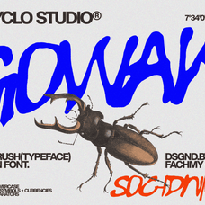 gowak-raw-expressive-modern-font-enxyclo-studio-30.png