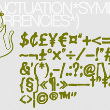 gowny-expressive-modern-font-enxyclo-studio-15.png