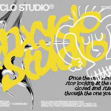 gowny-expressive-modern-font-enxyclo-studio-8.png