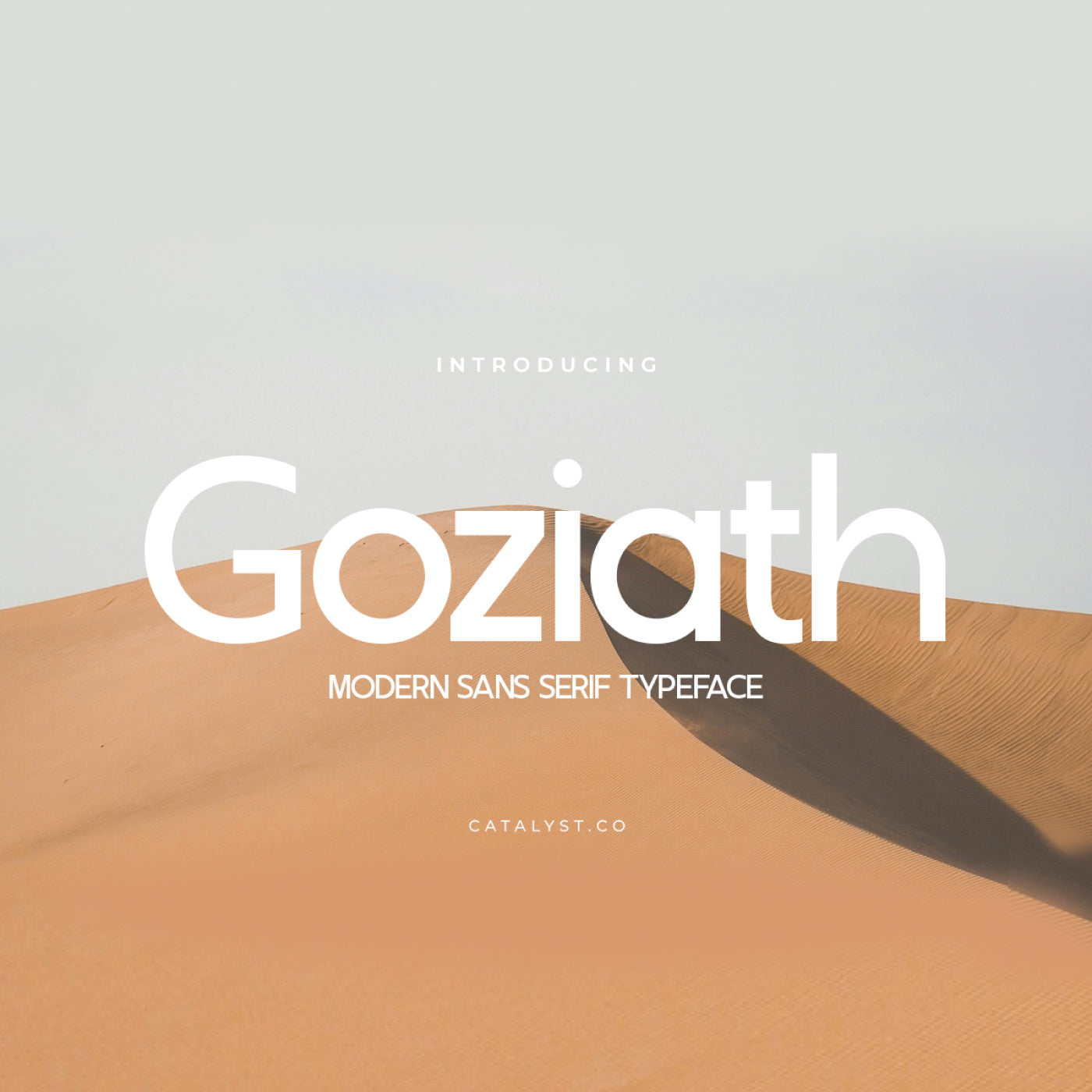 goziath-modern-sans-serif-typeface-font-catalystco-studio-1.jpg