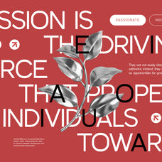 graddy-display-sans-serif-typeface-font-brandearth-studio-4.jpg
