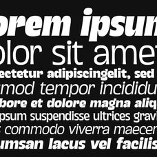 grasso-heavy-modern-display-variable-font-unknown-creator-7.png