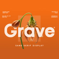 grave-sans-serif-display-font-brandearth-studio-1.jpg
