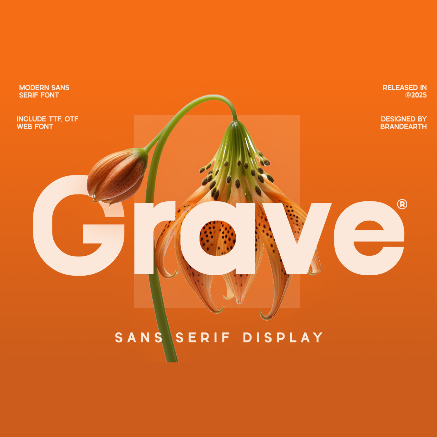 grave-sans-serif-display-font-brandearth-studio-1.jpg